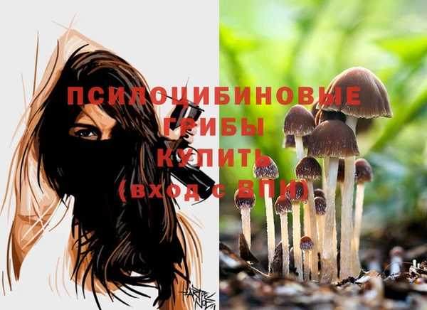 винт Абинск