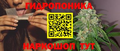 гидропоника Янаул